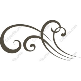 Elegant Swirling Flourish