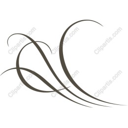 Elegant Flowing Lines