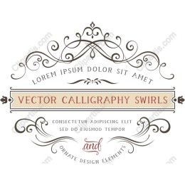 Calligraphy Swirls