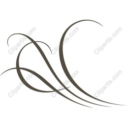 Elegant Flowing Curves