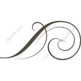 Elegant Ornamental Swirl