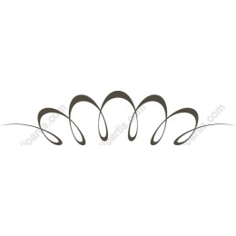 Elegant Decorative Flourish
