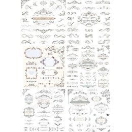 Premium Calligraphy Swirls Bundle