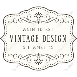 Vintage Elegant Frame