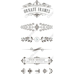 Elegant Ornate Frames Set