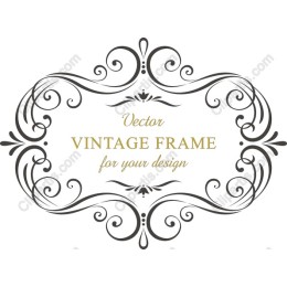 Exquisite Vintage Frame for Elegant