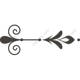 Elegant Decorative Flourish