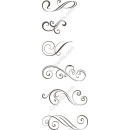 Elegant Flourishes Collection