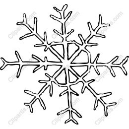 Elegant Snowflake