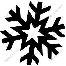 Elegant Black Snowflake