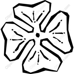 Elegant Black Flower