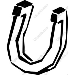 Horseshoe Magnet