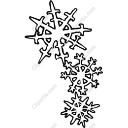 Elegant Snowflake