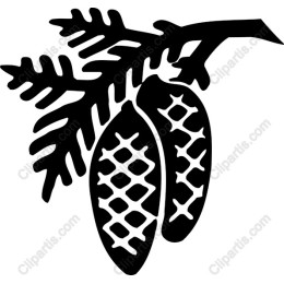 Pine Cone