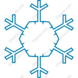 Elegant Snowflake