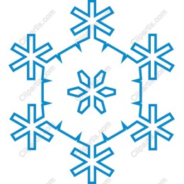 Elegant Snowflake