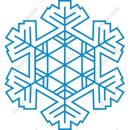Elegant Snowflake