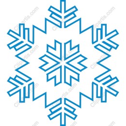Elegant Snowflake
