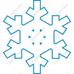 Elegant Winter Snowflake