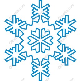 Premium Snowflake