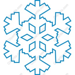 Elegant Winter Snowflake