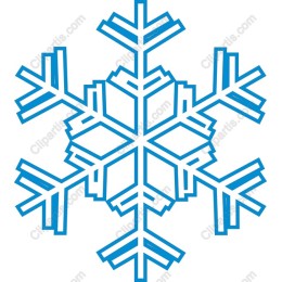 Elegant Snowflake