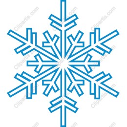 Elegant Snowflake
