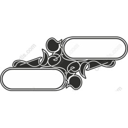 Elegant Ornate Frame