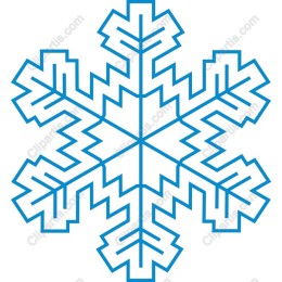 Elegant Snowflake