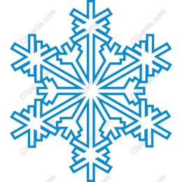 Elegant Snowflake