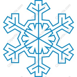 Exquisite Geometric Snowflake