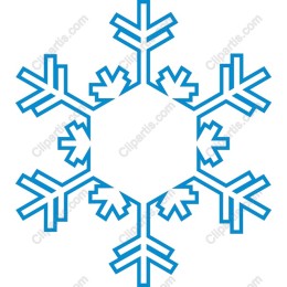 Elegant Snowflake
