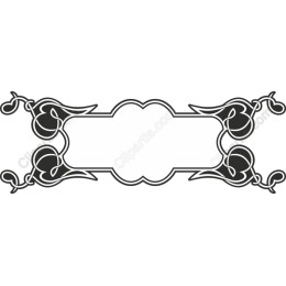 Elegant Black and White Floral Frame