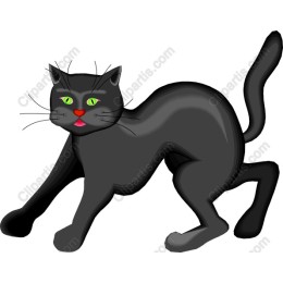 Charming Black Cat