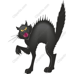 Menacing Black Cat