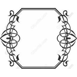 Exquisite Ornate Vintage Frame