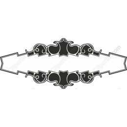 Elegant Vintage Ornate Frame