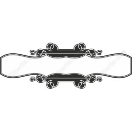 Elegant Swirling Flourish Frame