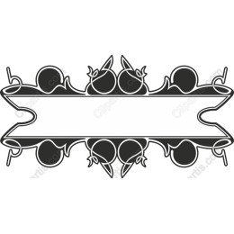 Elegant Ornate Frame