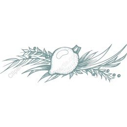Elegant Hand-Drawn Lemon