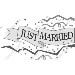 Just Married Elegant Wedding Banner