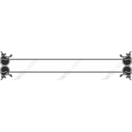 Elegant Decorative Border
