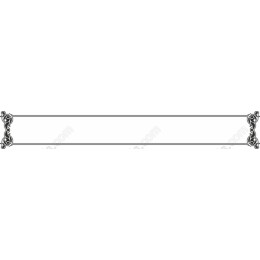 Elegant Decorative Border