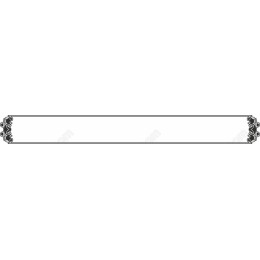 Decorative Frame - Elegant Border