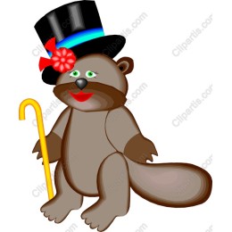 Charming Raccoon in Top Hat
