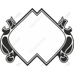 Ornate Black and White Frame