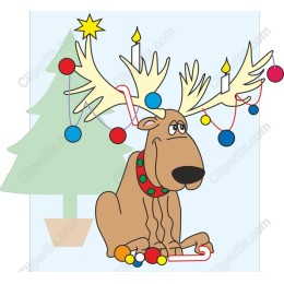 Playful Reindeer