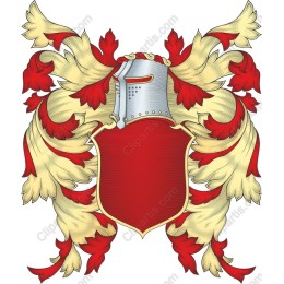 Heraldic Shield with Ornate Flourish