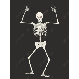 Whimsical Cartoon Skeleton