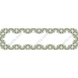 Ornamental Frame
